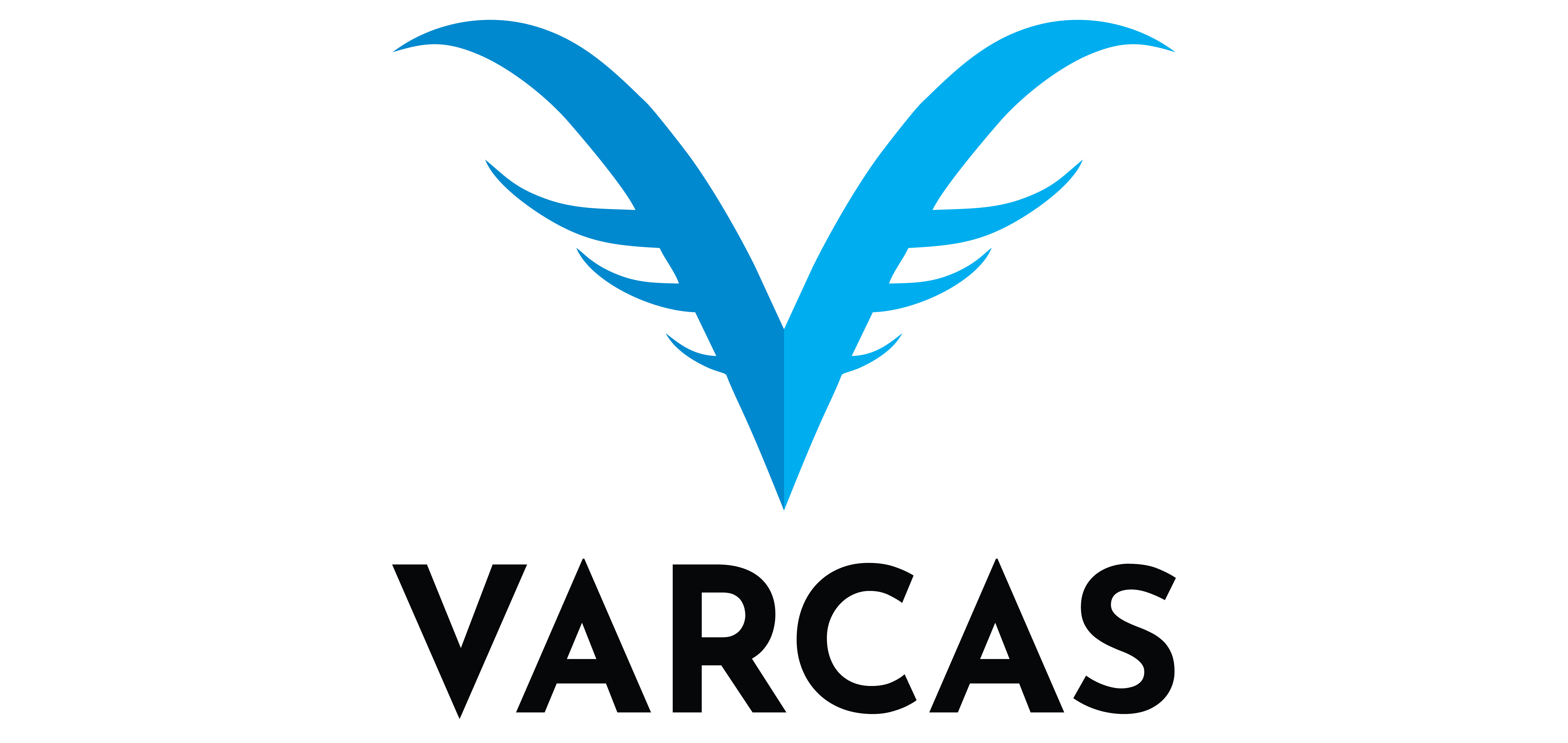 Client 2 Logo